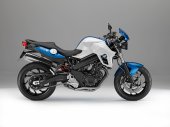2013 BMW F 800 R photo